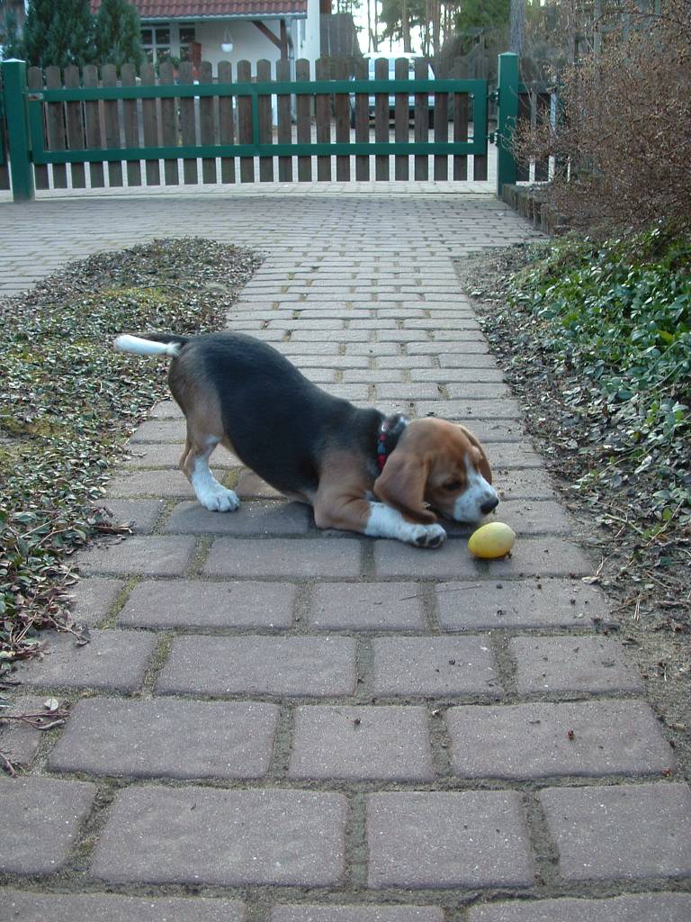 Ostern02.JPG