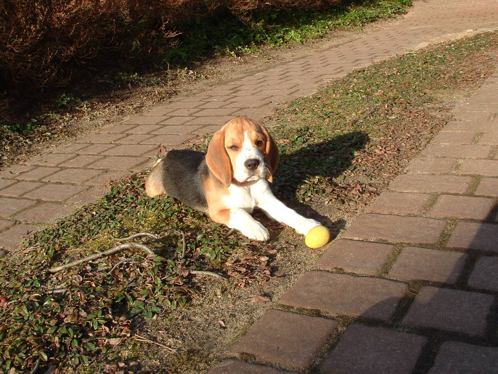 Ostern03.JPG