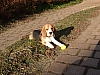 Ostern03.JPG