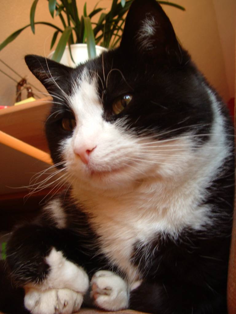 Portrait02.JPG
